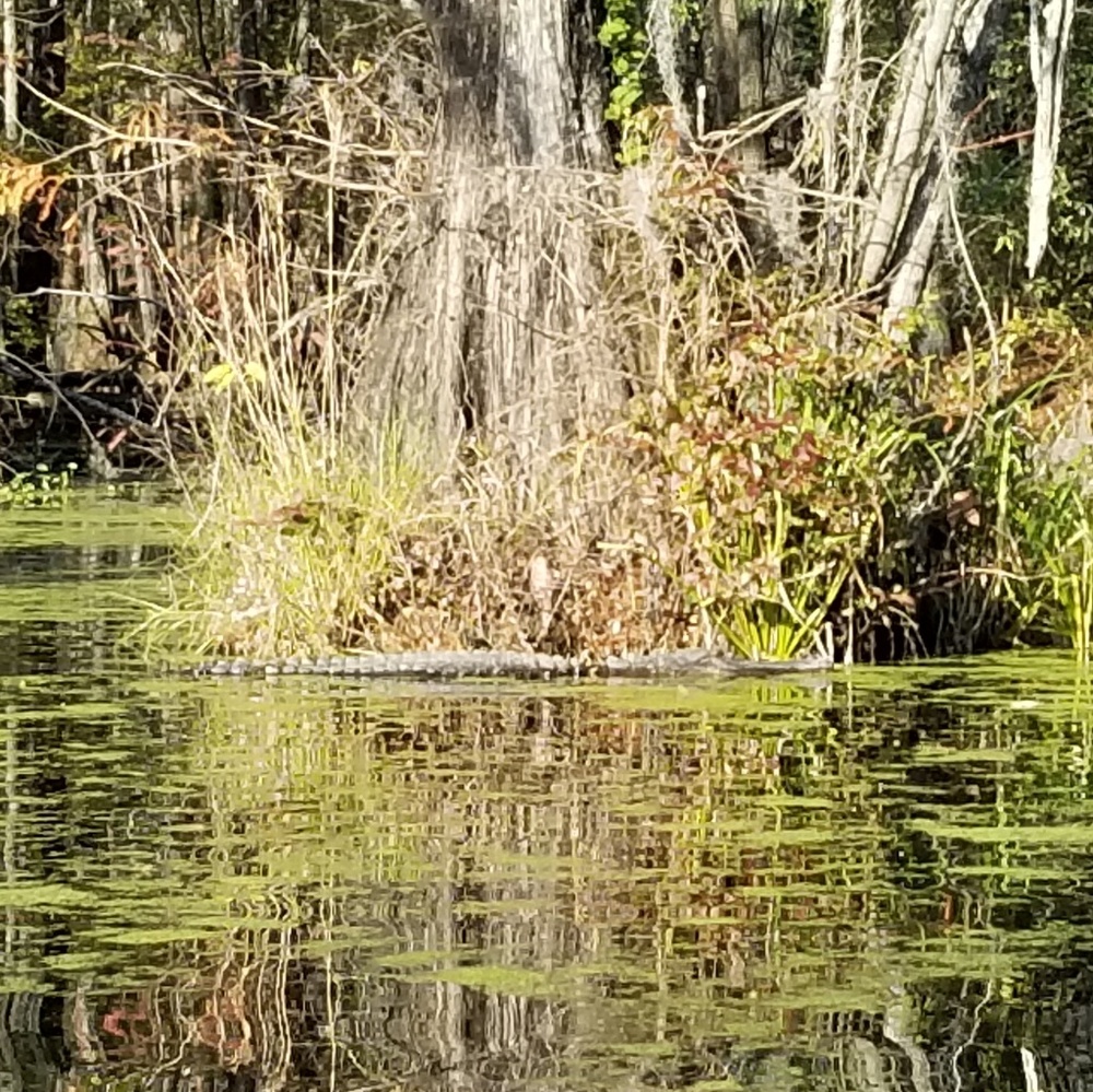 Hey everyone! Bundle and save!